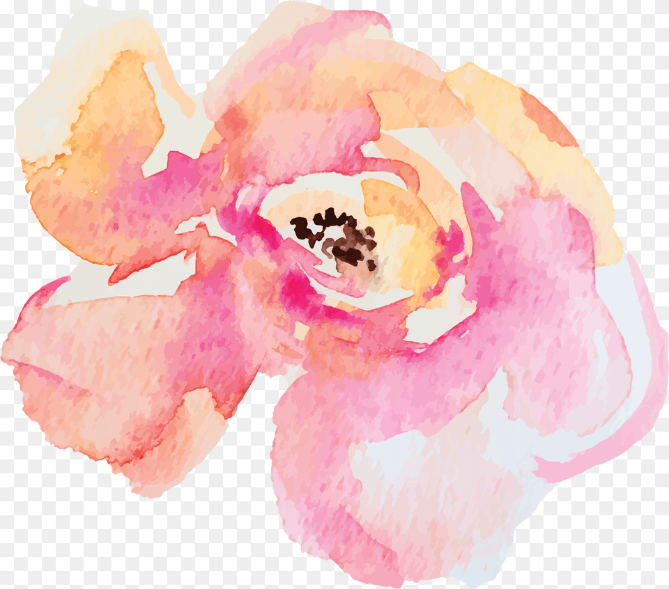 Watercolor Paint, Flower, Petal, Plant, Rose Free Transparent Png