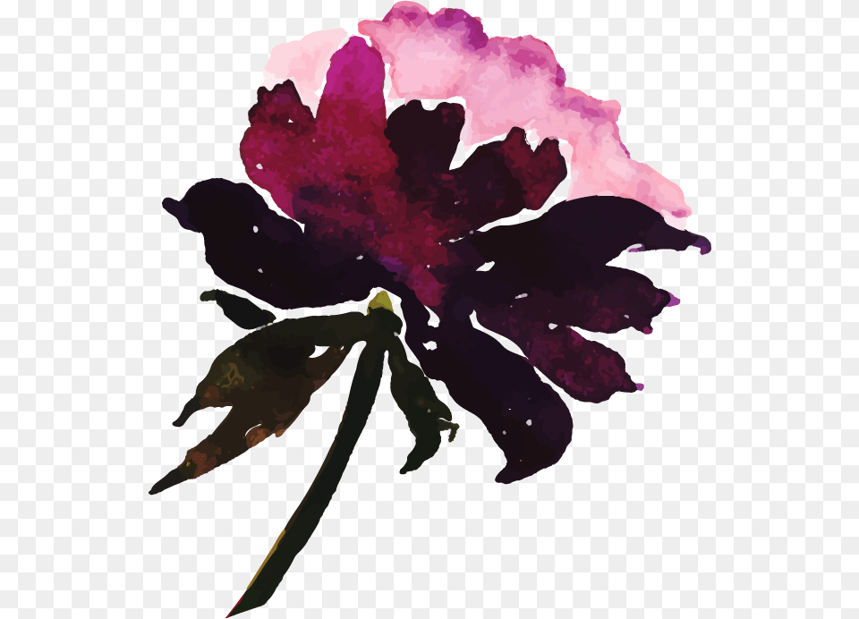 Watercolor Paint, Leaf, Purple, Plant, Petal Free Transparent Png