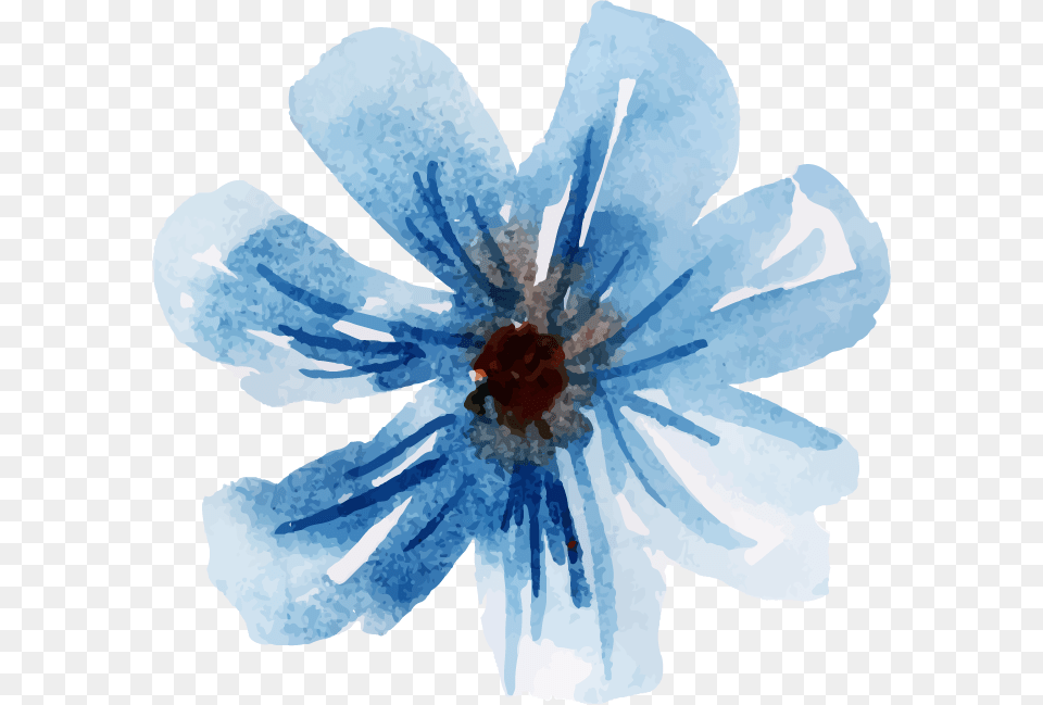 Watercolor Paint, Anemone, Plant, Daisy, Flower Free Png