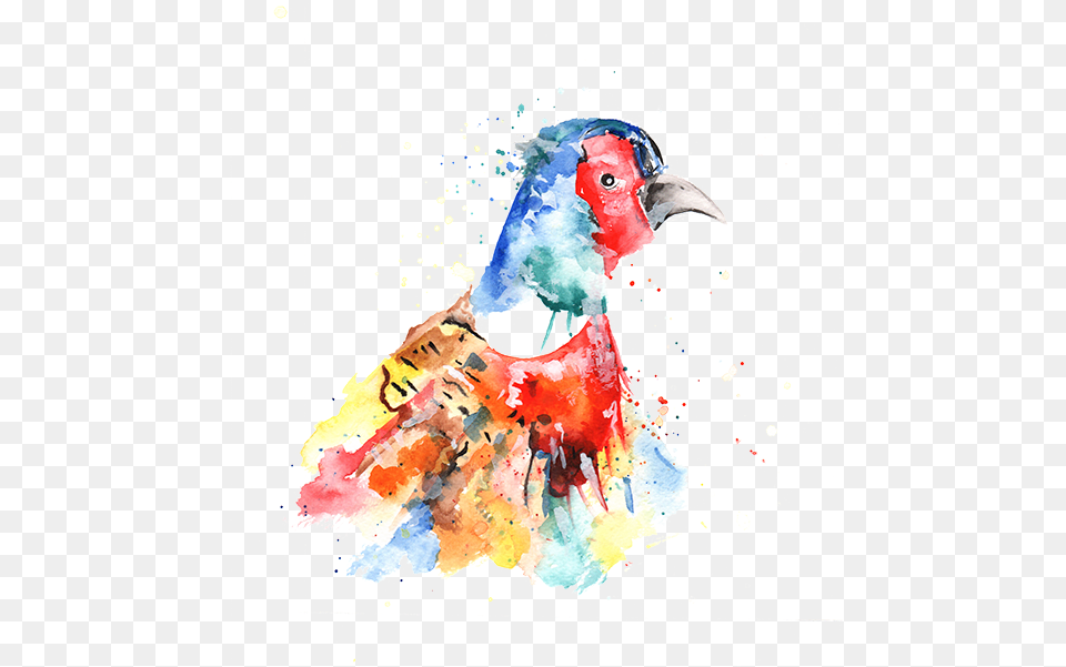 Watercolor Paint, Animal, Beak, Bird Free Png