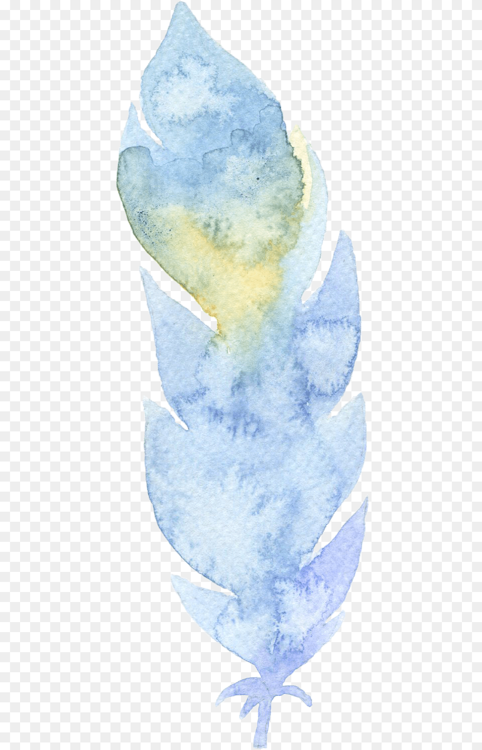 Watercolor Paint, Plant, Leaf, Ice, Adult Png