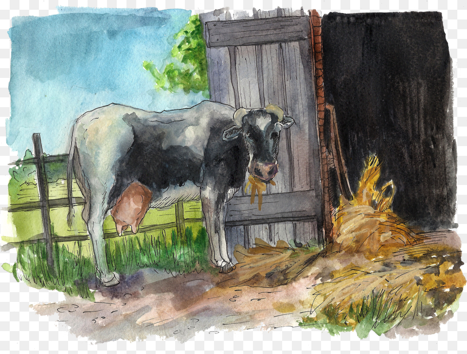 Watercolor Paint, Animal, Bull, Mammal, Cattle Free Png Download