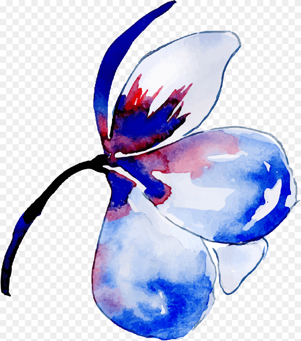Watercolor Paint, Flower, Petal, Plant, Animal Png Image
