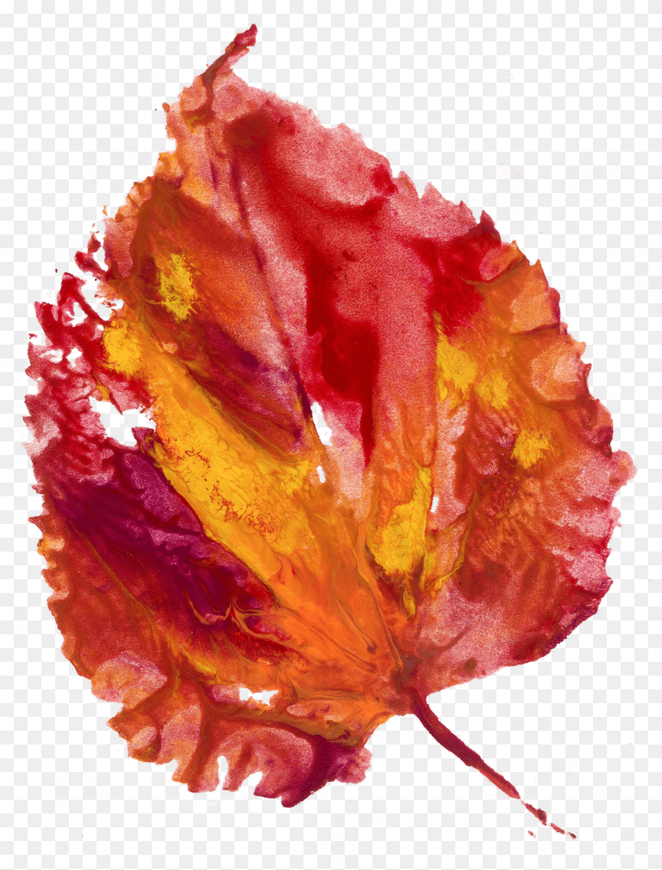 Watercolor Paint, Leaf, Plant, Person Free Png Download