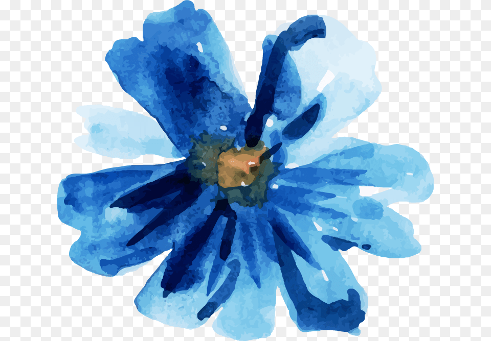 Watercolor Paint, Plant, Petal, Flower, Daisy Free Png Download