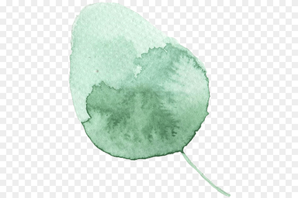 Watercolor Paint, Leaf, Plant, Flower, Petal Free Png Download