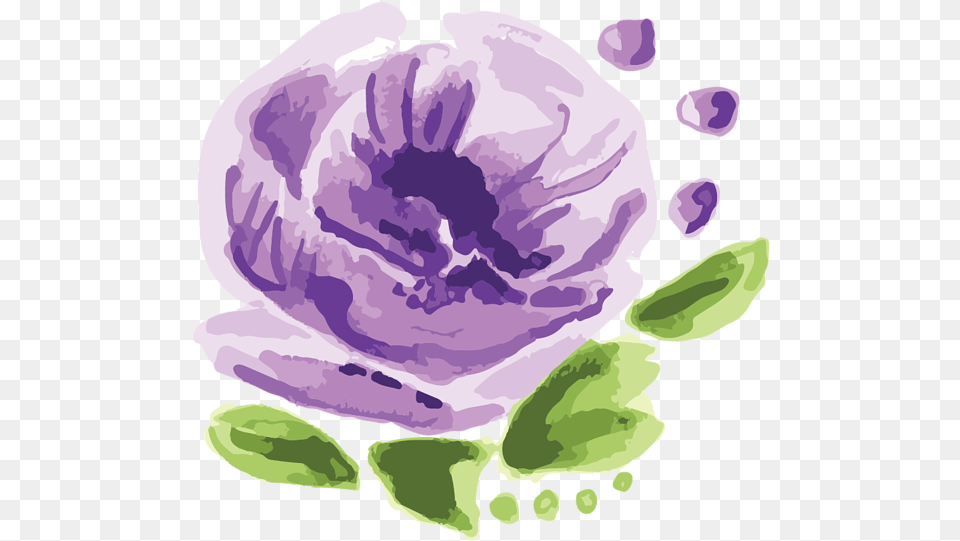 Watercolor Paint, Flower, Petal, Plant, Purple Free Transparent Png