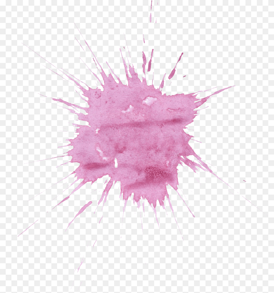 Watercolor Paint Splatter, Stain, Fireworks, Person, Flower Free Transparent Png