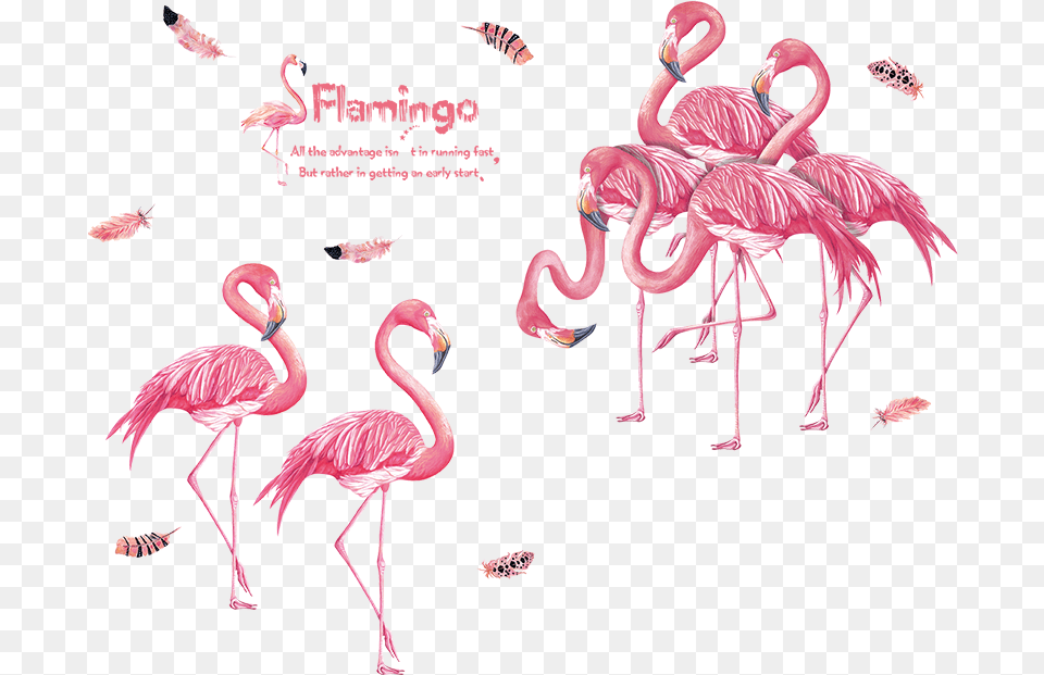 Watercolor Painted Pink Flamingo Full Color Vinyl Decal Wall Stickers Flamingo, Animal, Bird Free Png