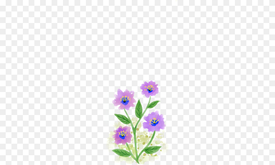 Watercolor Painting, Flower, Geranium, Plant, Purple Free Transparent Png