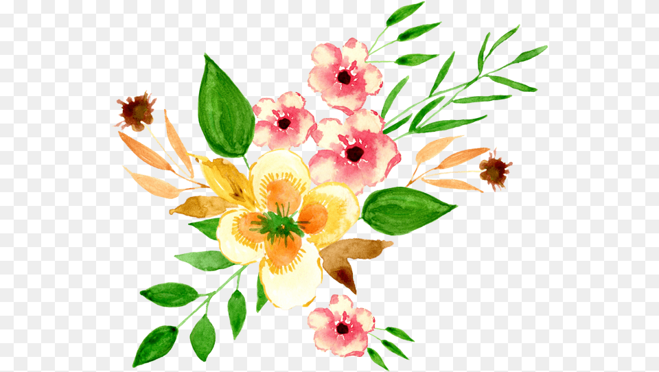 Watercolor Painting, Plant, Flower, Pattern, Graphics Png
