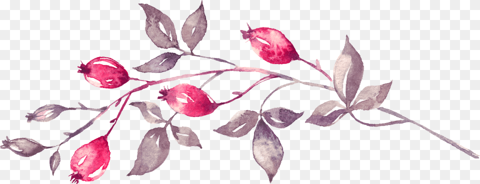Watercolor Painting Free Png