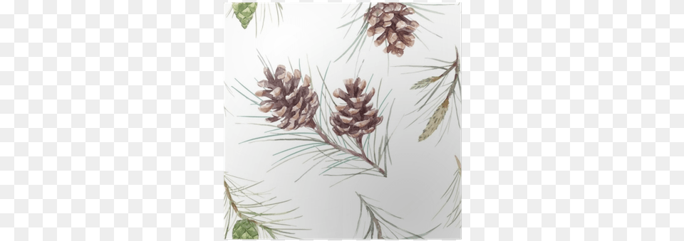 Watercolor Painting, Art, Conifer, Plant, Tree Png Image