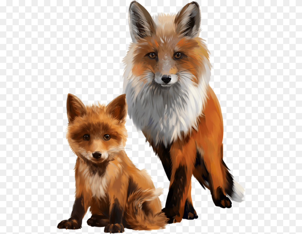 Watercolor Painting, Animal, Red Fox, Mammal, Fox Free Png