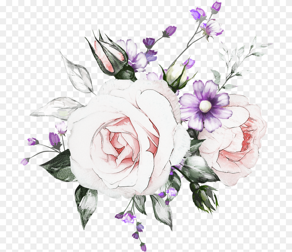 Watercolor Painting, Rose, Plant, Flower, Flower Arrangement Free Png