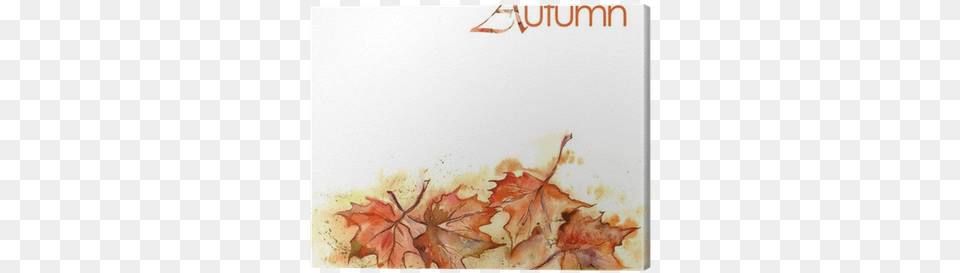 Watercolor Painting, Leaf, Plant, Tree, Maple Free Transparent Png