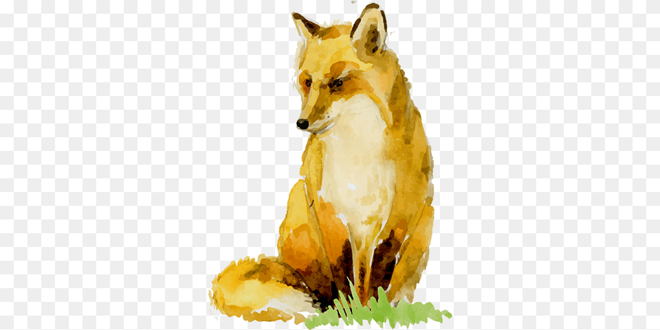Watercolor Painting, Animal, Wildlife, Fox, Mammal Free Png Download