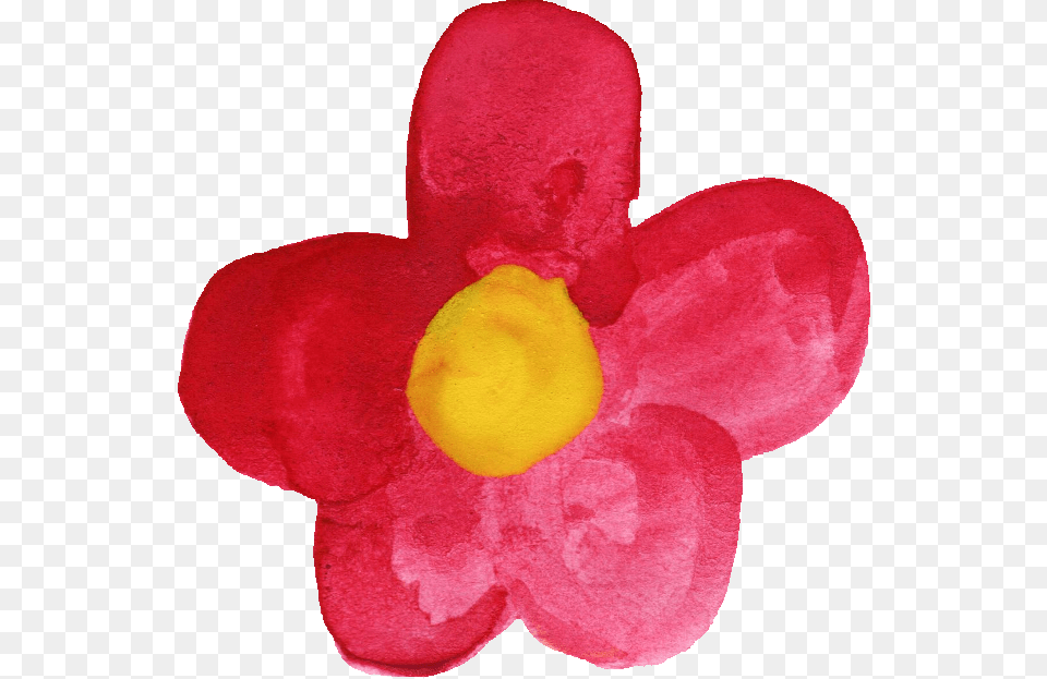 Watercolor Painting, Flower, Petal, Plant, Ball Free Png
