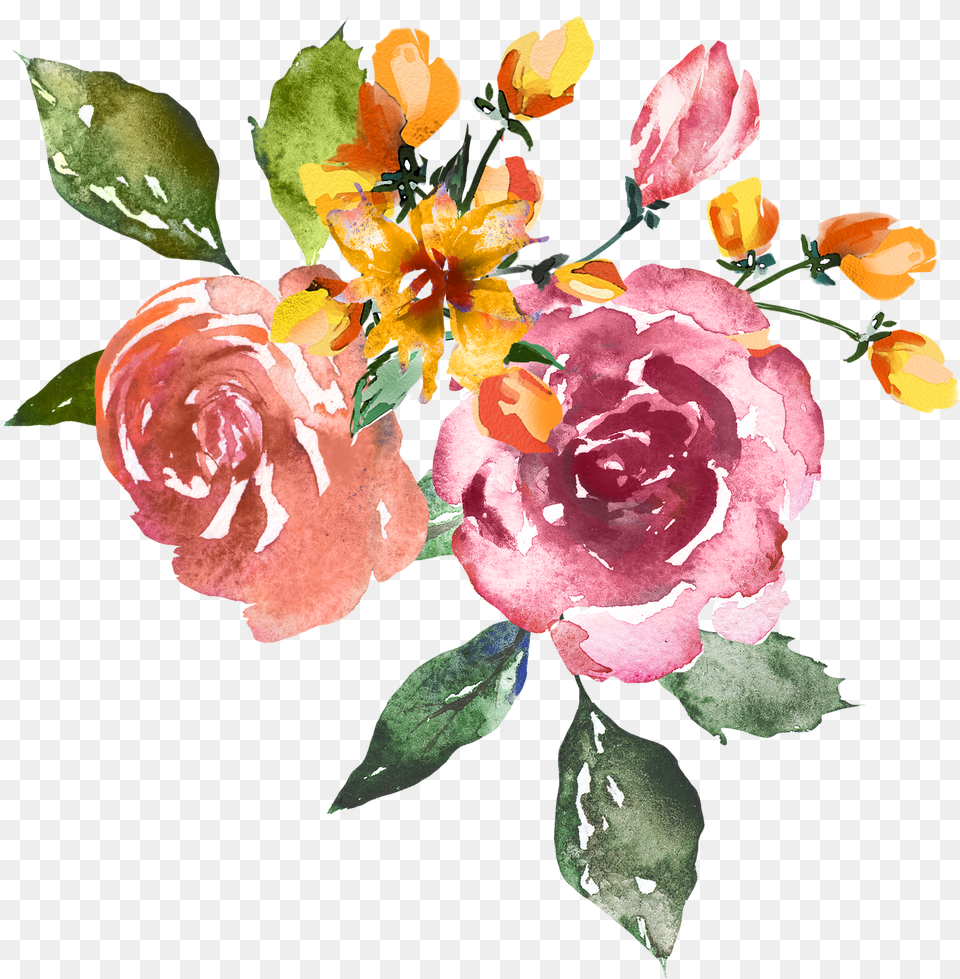 Watercolor Painting, Rose, Plant, Flower, Flower Arrangement Png