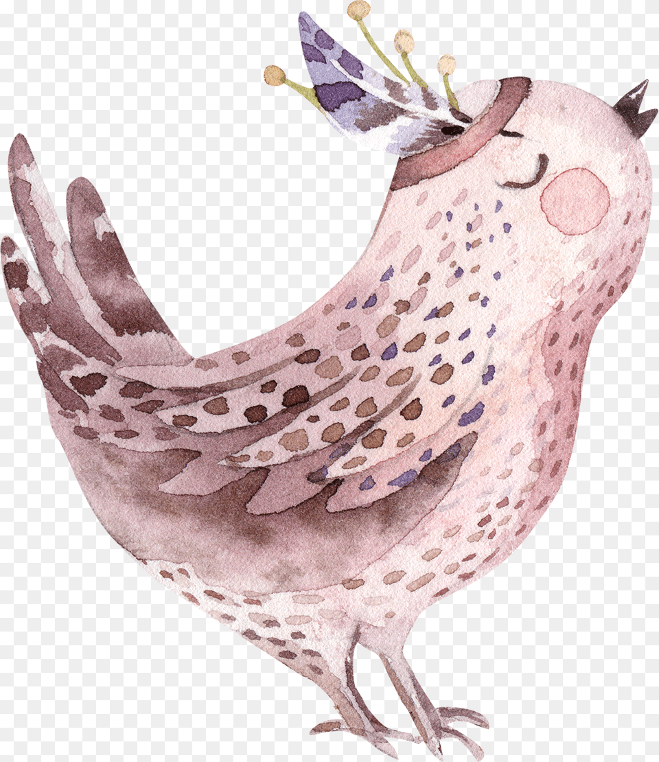 Watercolor Painting, Animal, Bird, Chicken, Fowl Free Png
