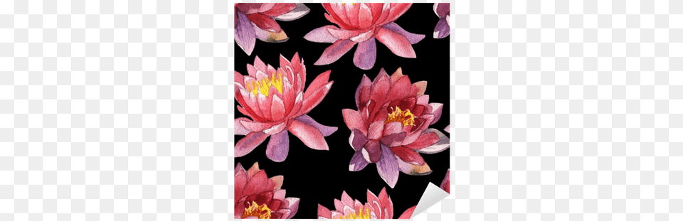 Watercolor Painting, Dahlia, Flower, Plant, Lily Free Png