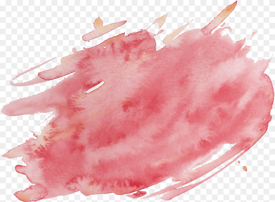 Watercolor Painting, Animal, Clothing, Fish, Glove Free Png Download
