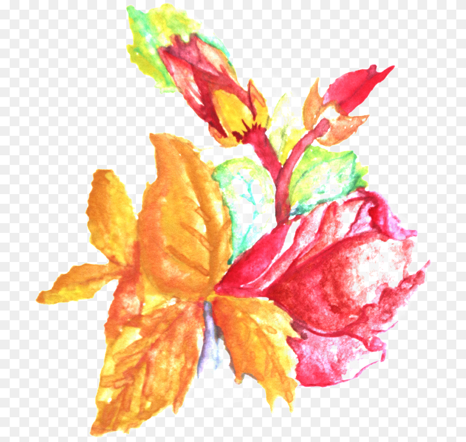 Watercolor Painting, Plant, Flower, Petal, Leaf Free Png