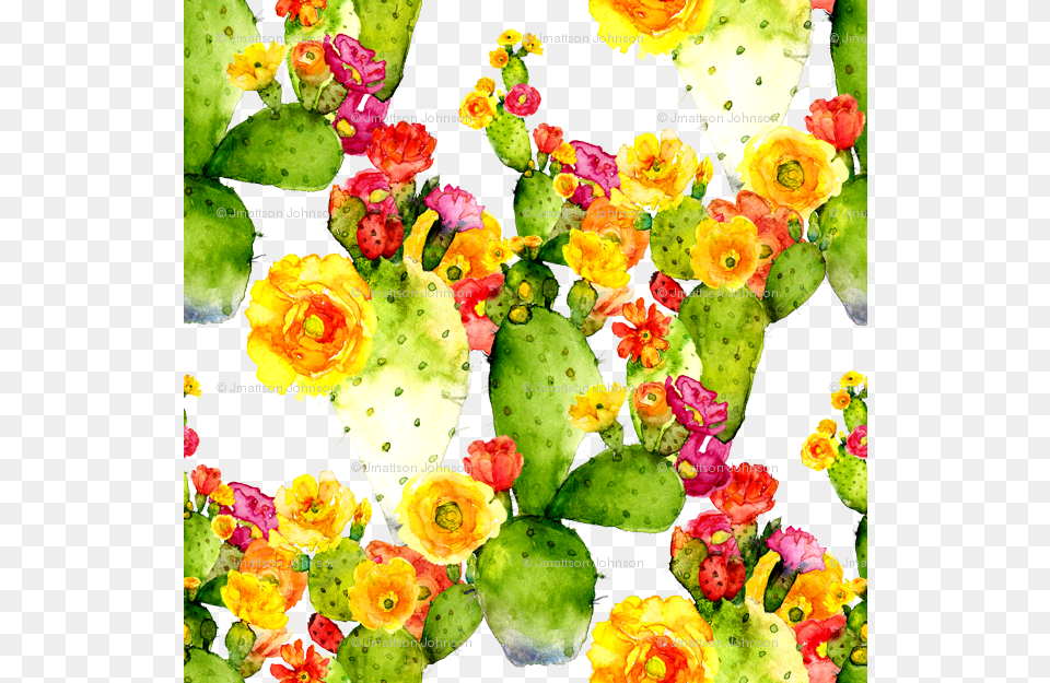Watercolor Painting, Plant, Flower, Rose, Cactus Png Image