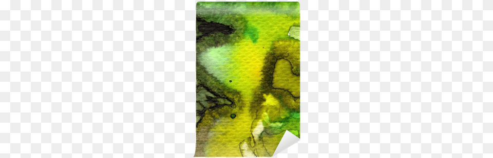 Watercolor Painting, Art, Algae, Plant, Modern Art Free Transparent Png