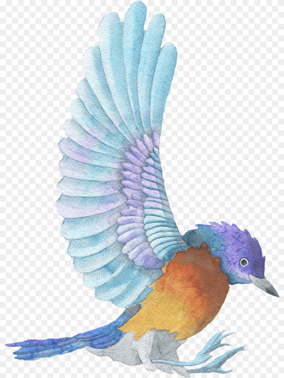 Watercolor Painting, Animal, Bird, Bluebird, Jay Png Image