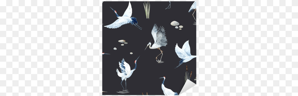 Watercolor Painting, Animal, Bird, Crane Bird, Waterfowl Png Image
