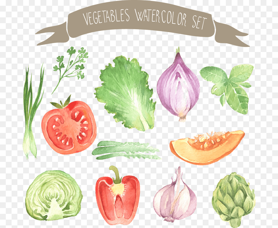 Watercolor Painting, Food, Produce, Flower, Plant Free Png Download