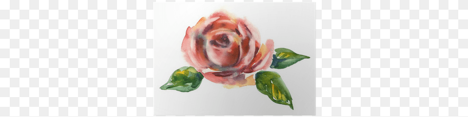 Watercolor Painting, Art, Flower, Plant, Rose Png Image