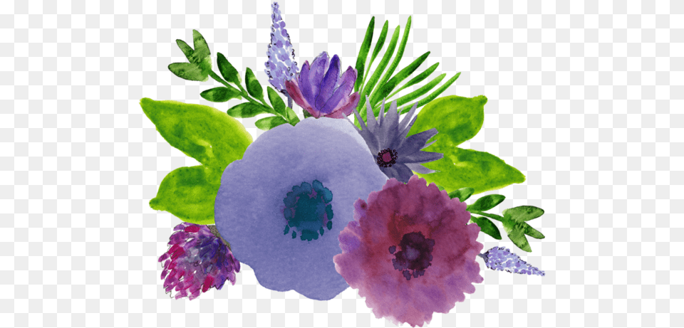 Watercolor Painting, Anemone, Plant, Flower, Flower Arrangement Png Image