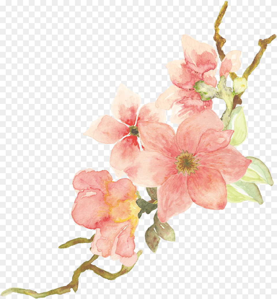 Watercolor Painting, Flower, Petal, Plant, Flower Arrangement Free Transparent Png