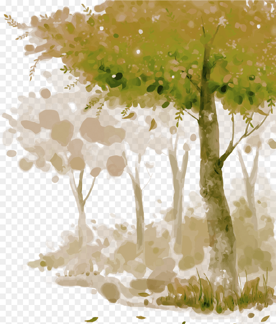 Watercolor Painting Adobe Illustrator Texture, Art, Tree, Plant, Oak Png