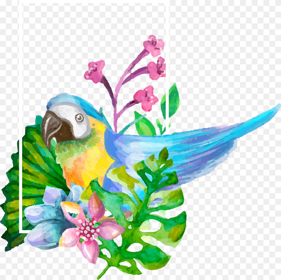 Watercolor Painting Aesthetic Decorative, Animal, Bird, Flower, Parrot Free Png Download