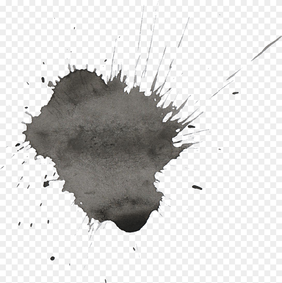 Watercolor Painting Black And White Wh Grey Paint Splash, Powder, Person Free Transparent Png
