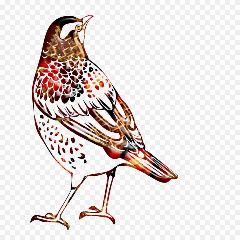 Watercolor Painting Clipart Bird Thrush Black And White, Animal, Beak, Finch Free Png