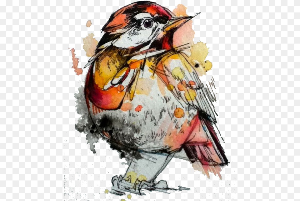 Watercolor Painting Drawing Artist Watercolour And Ink Artists, Art, Animal, Bird, Sparrow Png