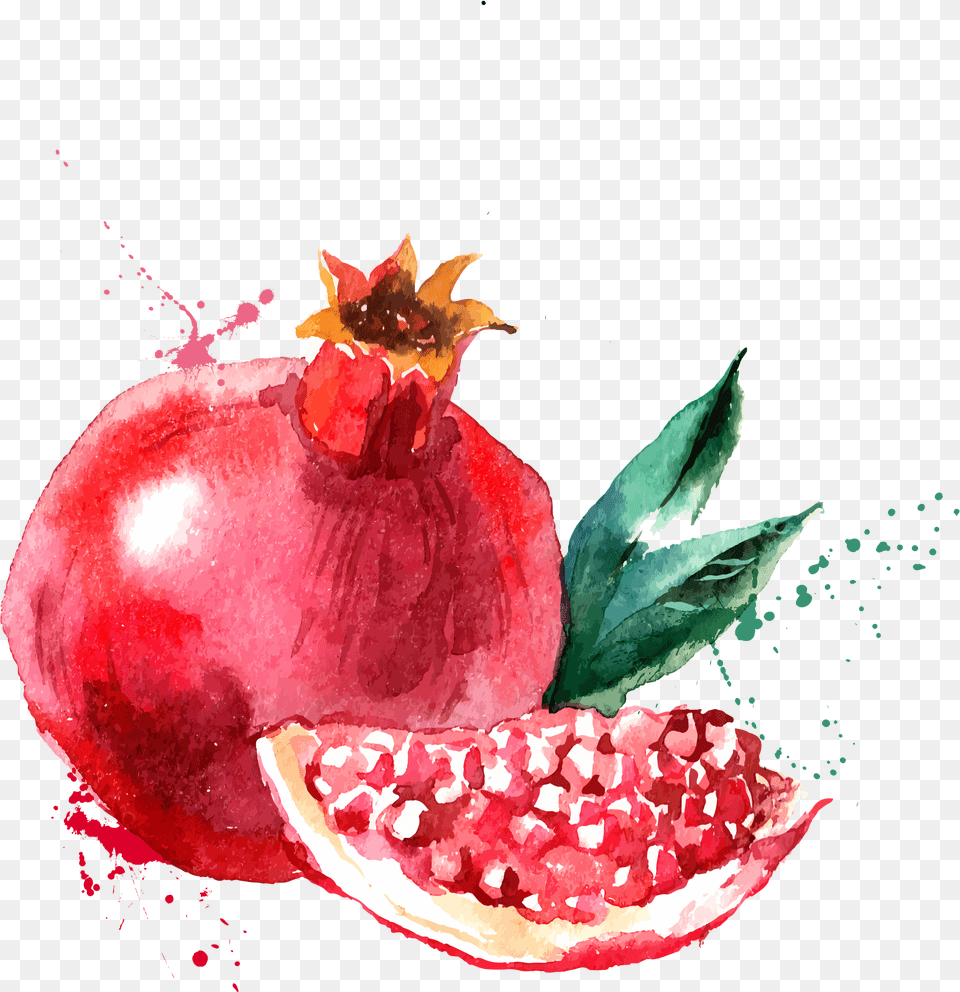 Watercolor Painting Drawing Fruit Illustration, Food, Plant, Produce, Pomegranate Free Transparent Png