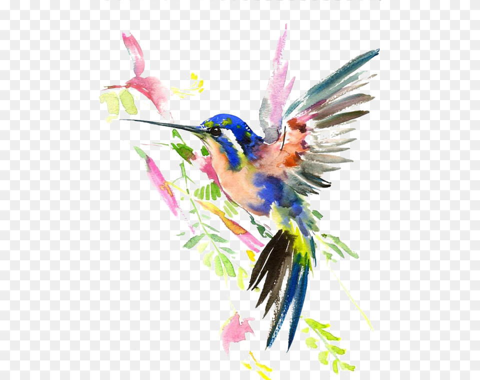 Watercolor Painting Drawing Hummingbird Hq, Animal, Bird, Flying Free Transparent Png