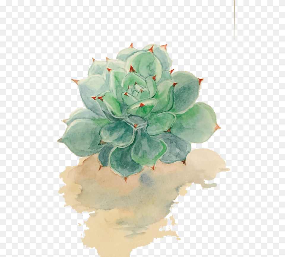 Watercolor Painting Drawing Background Watercolor Succulent, Art, Floral Design, Graphics, Leaf Free Transparent Png