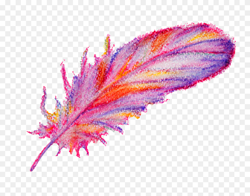 Watercolor Painting Feather Decorative, Anther, Flower, Plant, Pollen Free Transparent Png