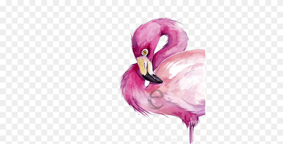 Watercolor Painting Flamingo Drawing Watercolor Flamingo Drawing, Animal, Beak, Bird Png