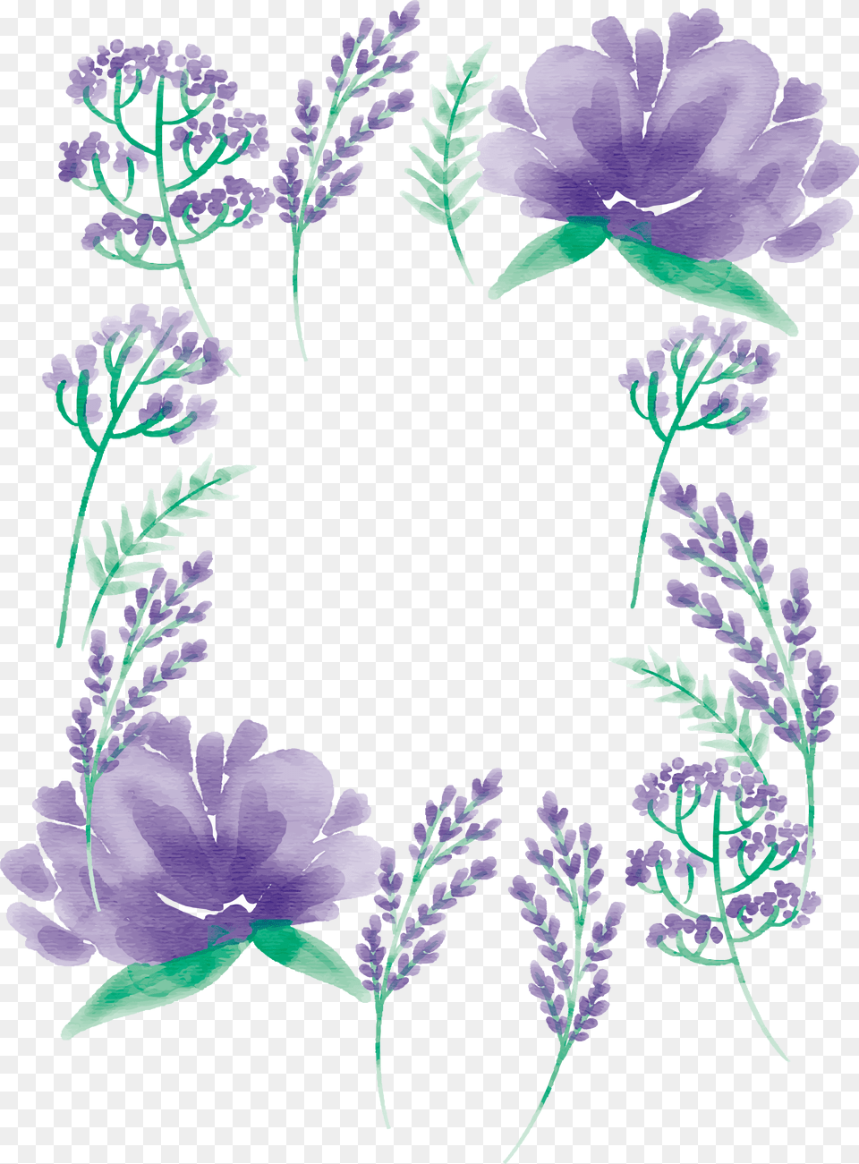 Watercolor Painting Floral Design Mulberry Flores Acuarelas Morados, Flower, Plant, Purple, Lavender Free Png