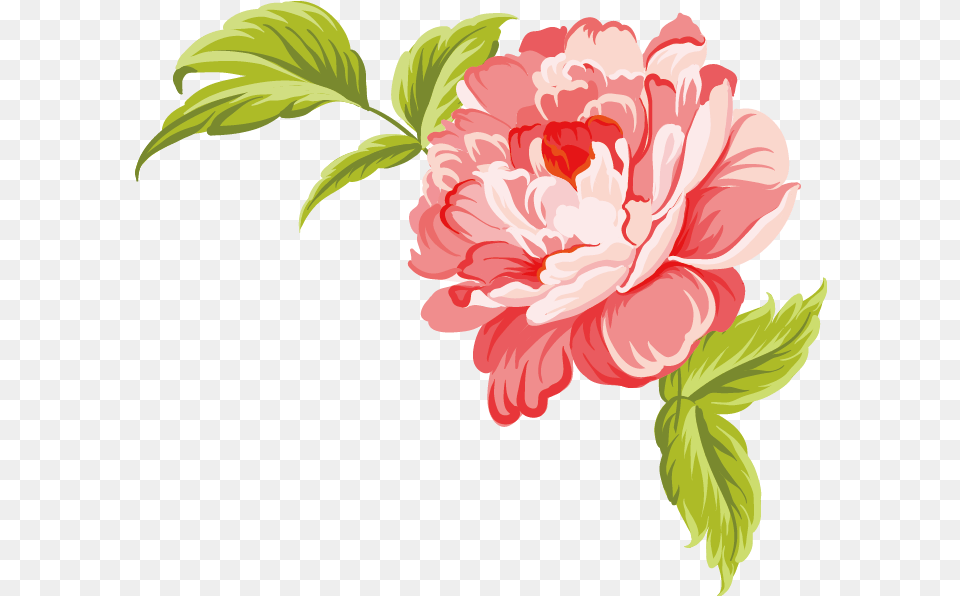 Watercolor Painting Flower Flower Watercolor Background, Plant, Carnation, Peony Free Png Download