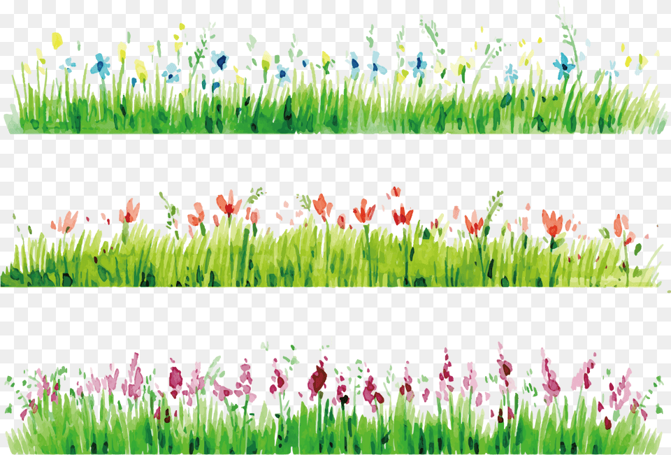 Watercolor Painting Flower Photography Watercolor Flowers Watercolor Grass, Plant, Vegetation, Outdoors, Art Png