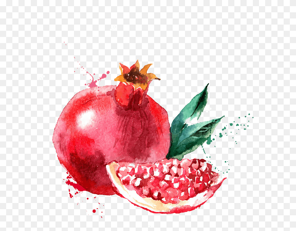 Watercolor Painting Fruit Drawing Illustration Lictin Watercolor Brush Pendual Brush Pen Art Markers, Food, Plant, Produce, Pomegranate Png Image