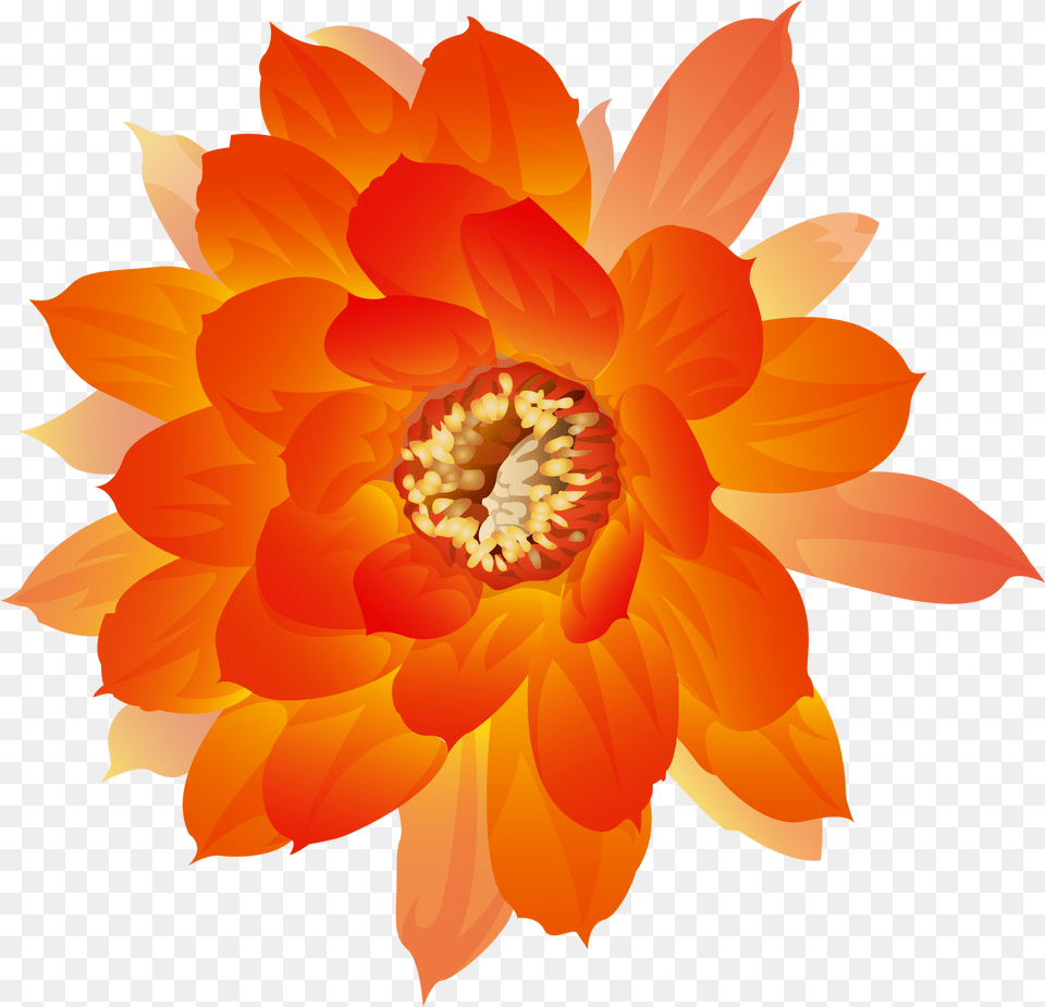 Watercolor Painting Icon Watercolor Orange Flower, Anther, Dahlia, Petal, Plant Free Png Download
